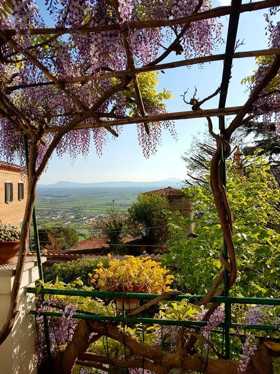 Appartement Casa Dell'Ermanna à Cortone Extérieur photo