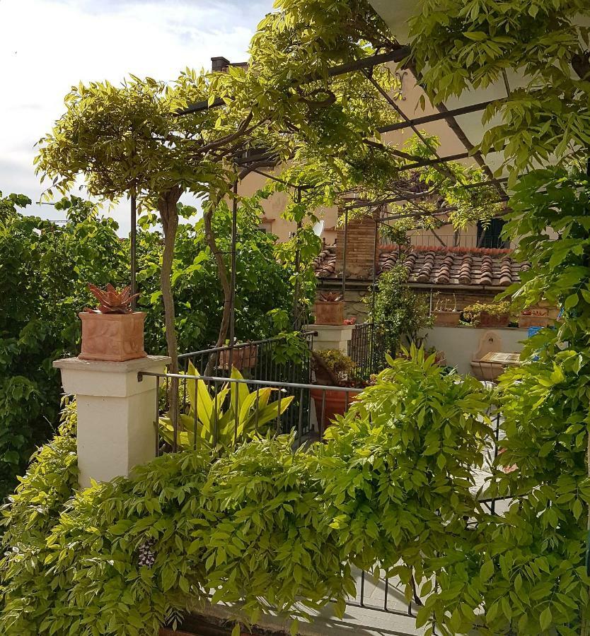 Appartement Casa Dell'Ermanna à Cortone Extérieur photo